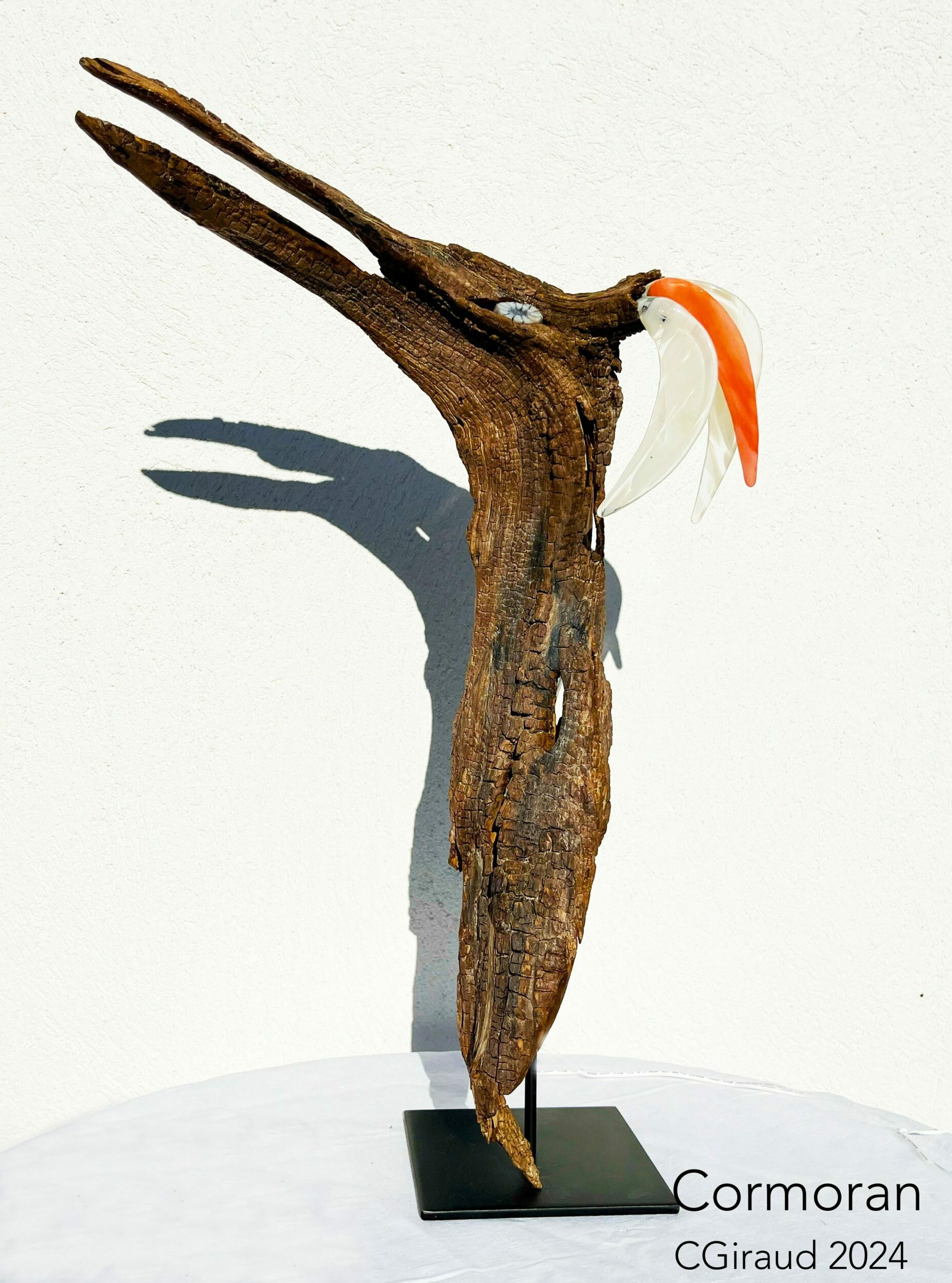 Cormoran - Catherine Giraud